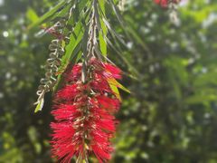 -沙河三洞古桥公园