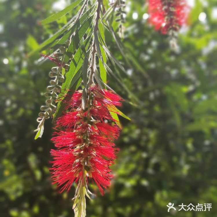 怒放的生命｜矗立在彩虹之巅🌈