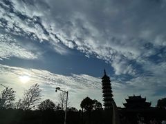 -奉贤海滩
