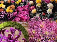 -杭州植物园