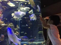 -成都浩海立方海洋公园