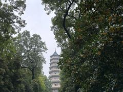 -灵谷景区