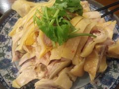 -九斤黄三黄鸡专卖店