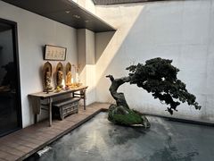 -觀芷隐轩