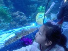 -南昌海洋公园