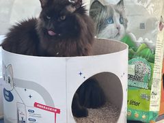 -爱诺耐芙动物医院(万博店)