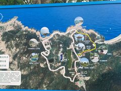 -广东惠东海龟国家级自然保护区