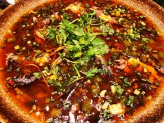 -院8里·少城记忆老川菜(宽窄巷子店)