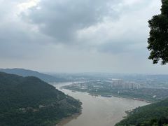 -铁山坪森林公园