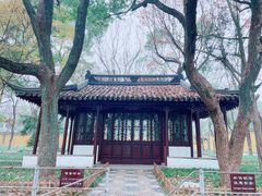 -西园戒幢律寺