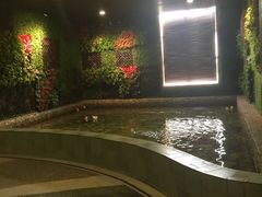 -泉城欧乐堡戏水湾艺术养生温泉