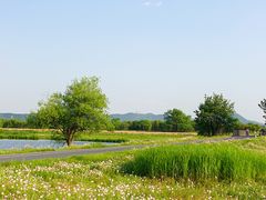 -良渚古城遗址公园