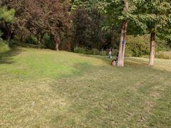 -布鲁豪斯亲子欢乐家庭餐厅
