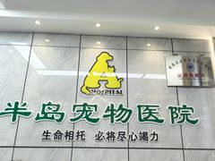 -半岛宠物医院24小时(西派城店)