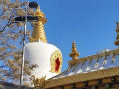 -护国法轮寺