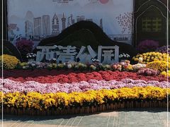 -西清公园