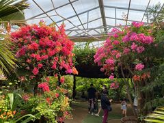 -呀路古热带植物园