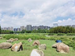 -滨湖塘西河公园