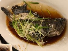 -竹林小屋(库塔店)