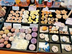 -龙柏饭店-地面停车场