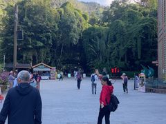 -西双版纳原始森林公园