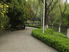 -青枫公园