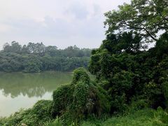 -天鹿湖森林公园