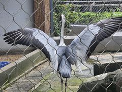 -南昌动物园