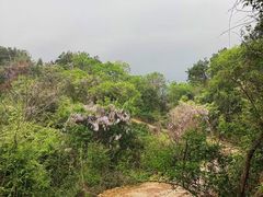 -青龙山国家森林公园