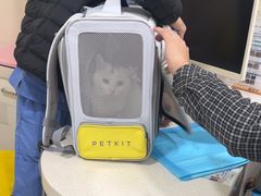 -佳雯宠物医院·皮肤科·内外科(春晓路分院)