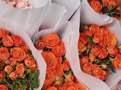 -循礼门鲜花花市(武汉循礼门店)