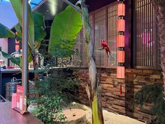 -单家老院·院子里的青岛菜(沙子口店)