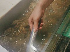 -亚马逊海鲜自助(梅溪湖步步高店)