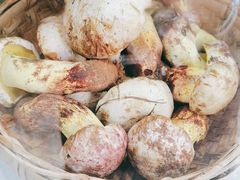 -野生菌火锅(菌王村店)