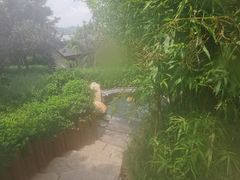 -威海天沐温泉度假区