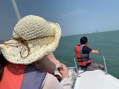 -海豚湾扬帆出海帆船游艇