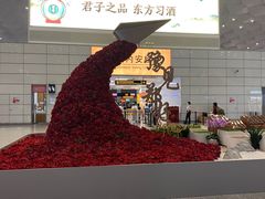 -郑州新郑国际机场-T2航站楼