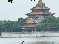 -顺峰山公园
