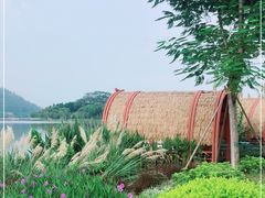-顺峰山公园