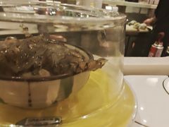 -禾绿回转寿司(苏宁广场店)