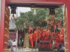 -国恩寺