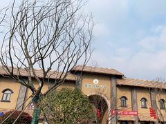 -黄贤森林公园