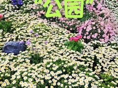 -首开·龙湖成都西宸天街