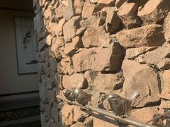 -驿舍·民國老营房院子私房菜(科学会堂店)