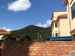 -金海湾海鲜排档(朱家尖店)
