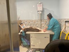 -骐奇宠物诊疗中心(南亭公路店)