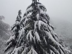 -秦岭风景区