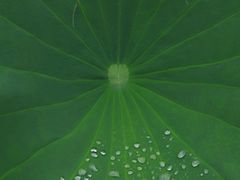 -清漾毛氏文化村