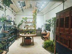 -植觉