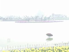 -荷兰花海